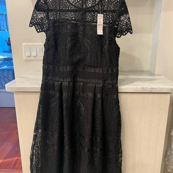 White House black market WHBM embroidered lace fit flare dress knee classic 8 M - threedaughtersproperties.com White House black market WHBM embroidered lace fit flare dress knee classic 8 M - threedaughtersproperties.com